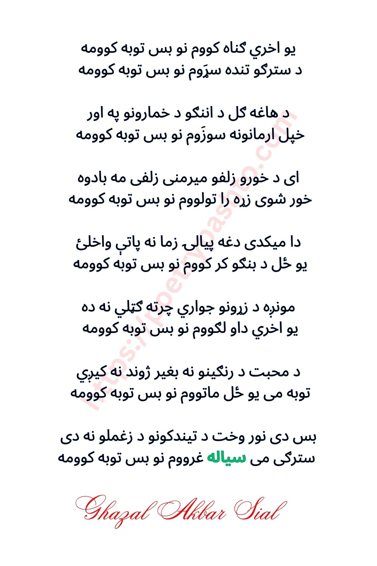 pashto romantic shayari