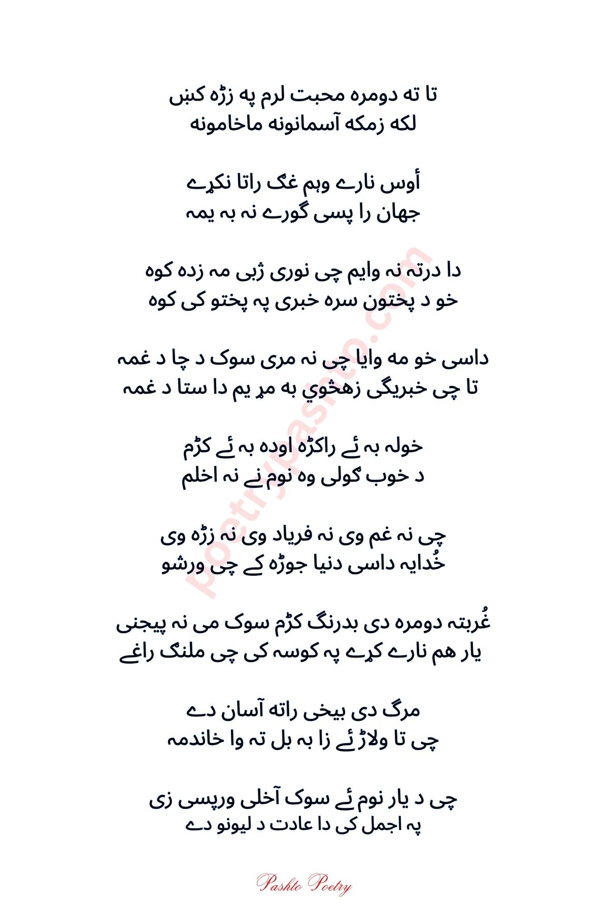 1 Line Love Pashto Poetry - Tapi