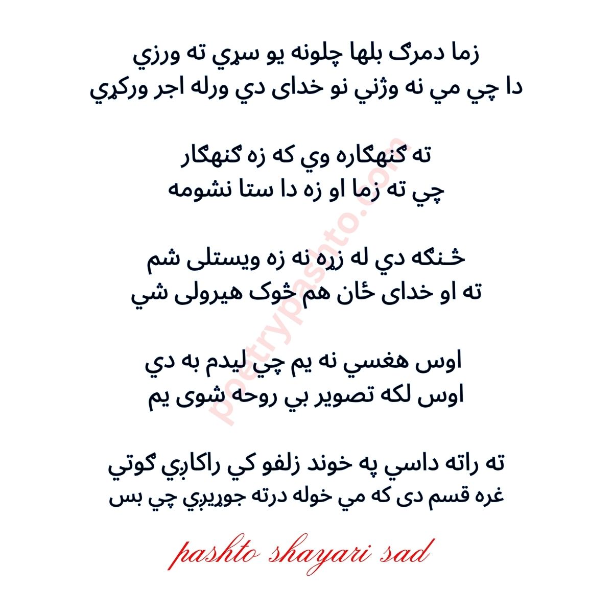 Pashto Bewafa Shayari - Zama Da Marg Balha Chalona Yaw Sari La Warzi