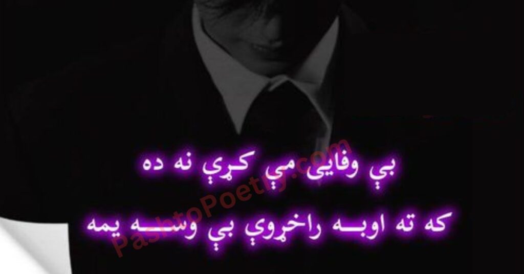 Pashto Poetry Text