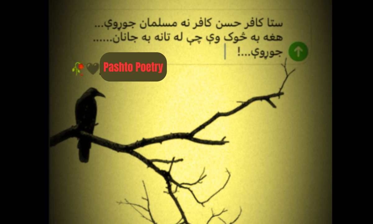 Kafer Husan 2 line Pashto SMS Poetry