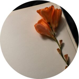 Submit Poetry on PoetryPashto.com