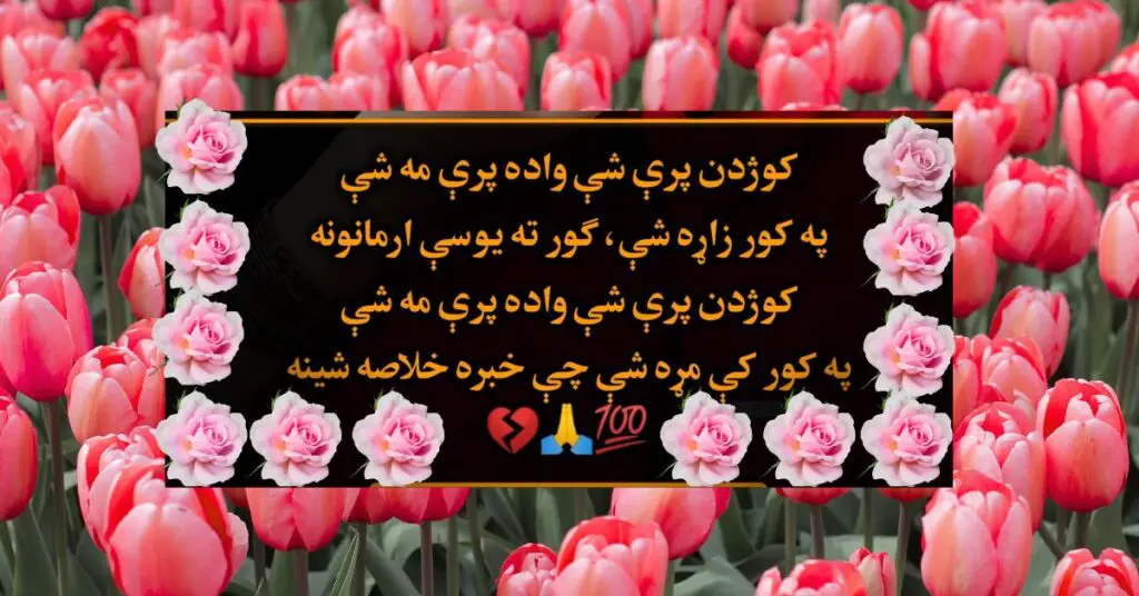 Pashto Poetry Downloadable Images: Express Emotions Through Art
